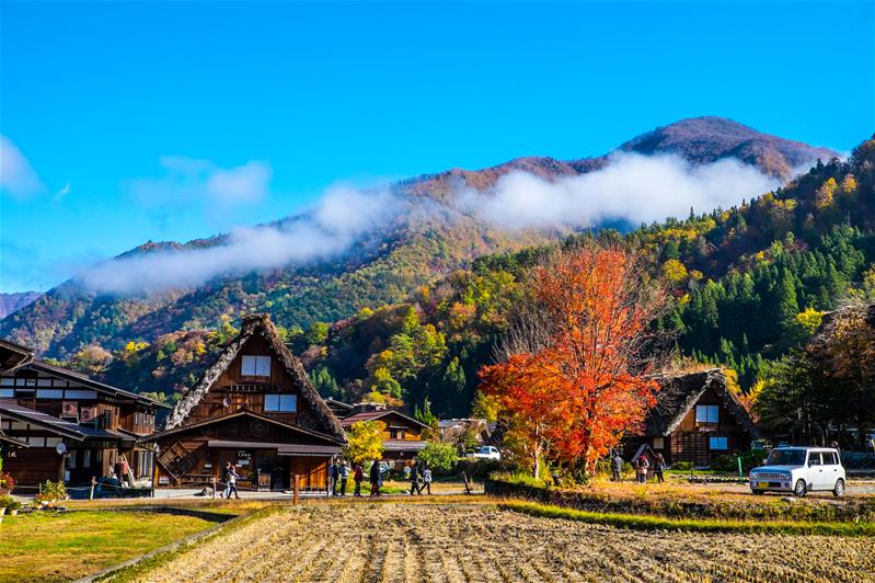 GIFU – KAMIKOCHI – MATSUMOTO	(Ăn sáng, trưa, tối)